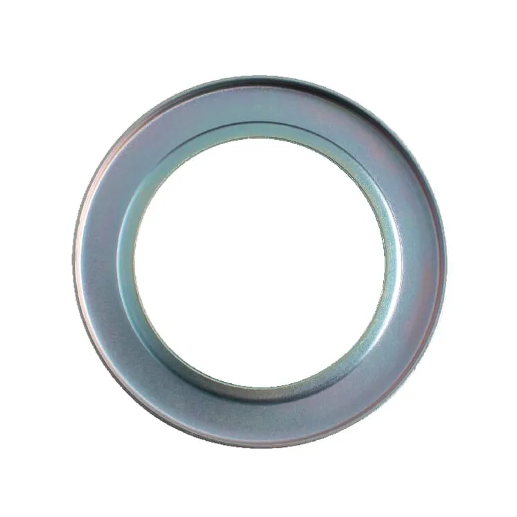 Seal protection 5109309 Case IH