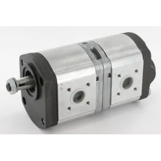 Double hydraulic pump 89880C91 Case IH 0510565365