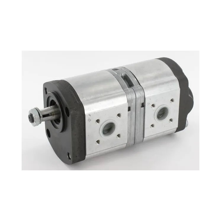 Double hydraulic pump 89880C91 Case IH 0510565365