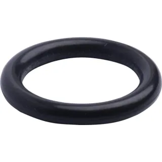 Back-Up Ring 3015022X1N Spicer Dana