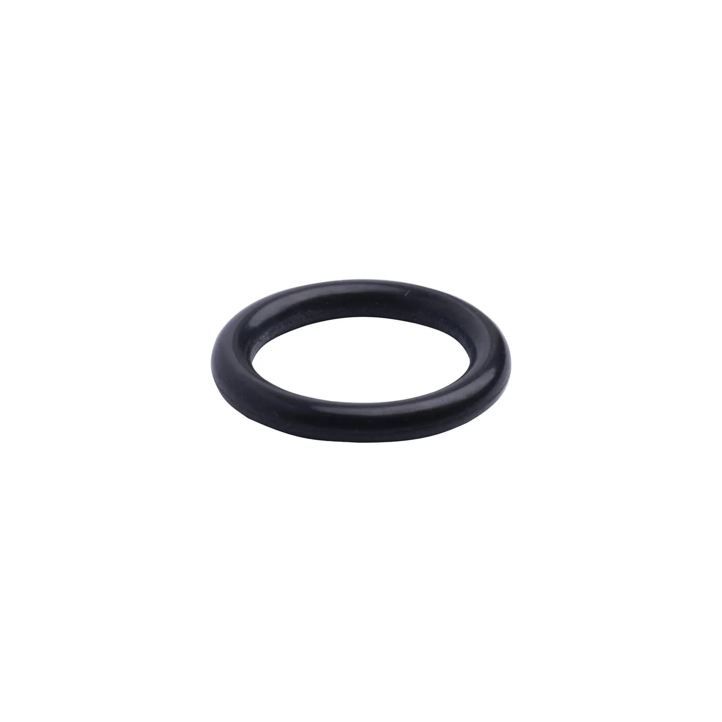 Back-Up Ring 3015022X1N Spicer Dana