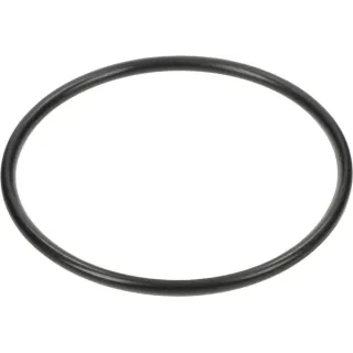 Back-Up Ring 3019943X1N Spicer Dana