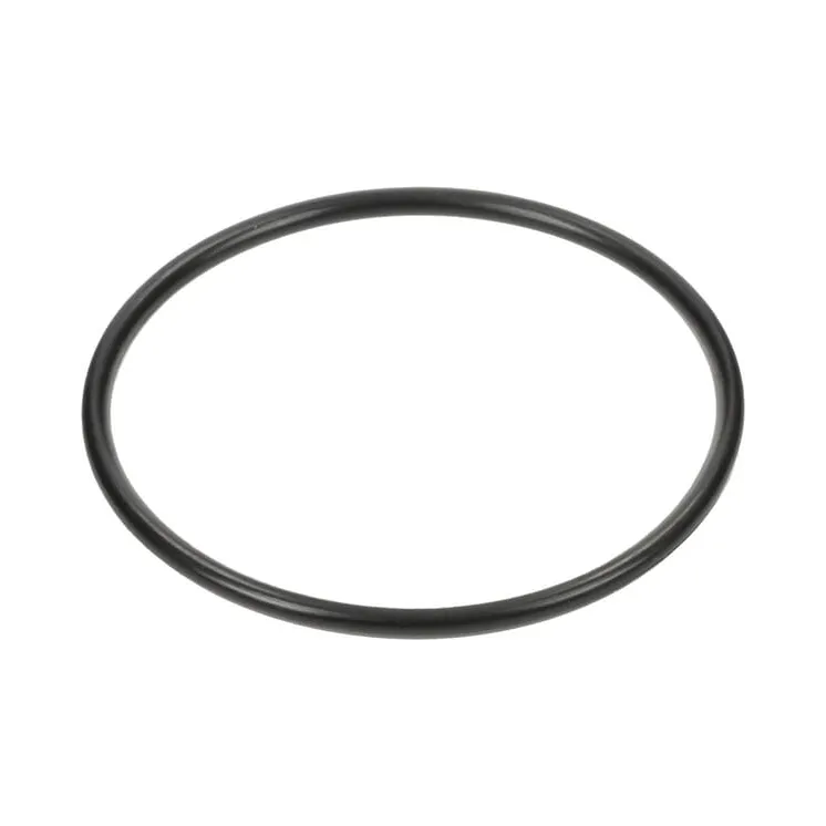Back-Up Ring 3019943X1N Spicer Dana