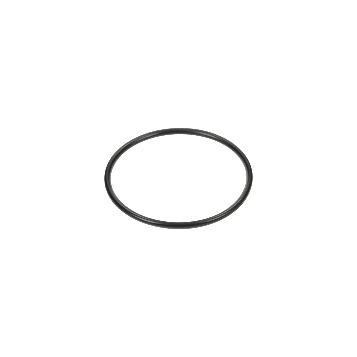 Back-Up Ring 3019943X1N Spicer Dana