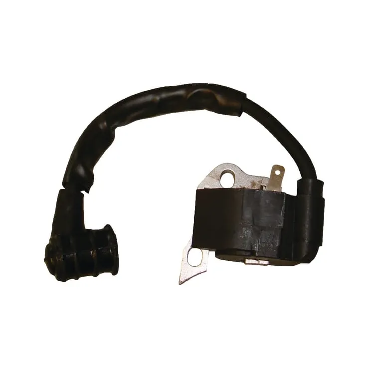 Ignition coil  00004001306GP gopart