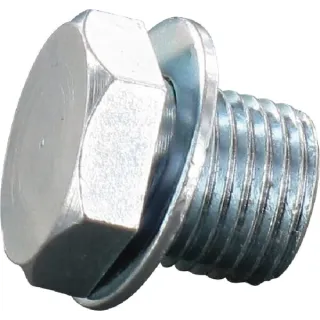 Decompression valve bolt  11220252200GP gopart