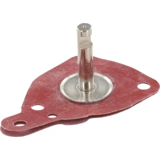 Pump membrane  11066403100GP gopart