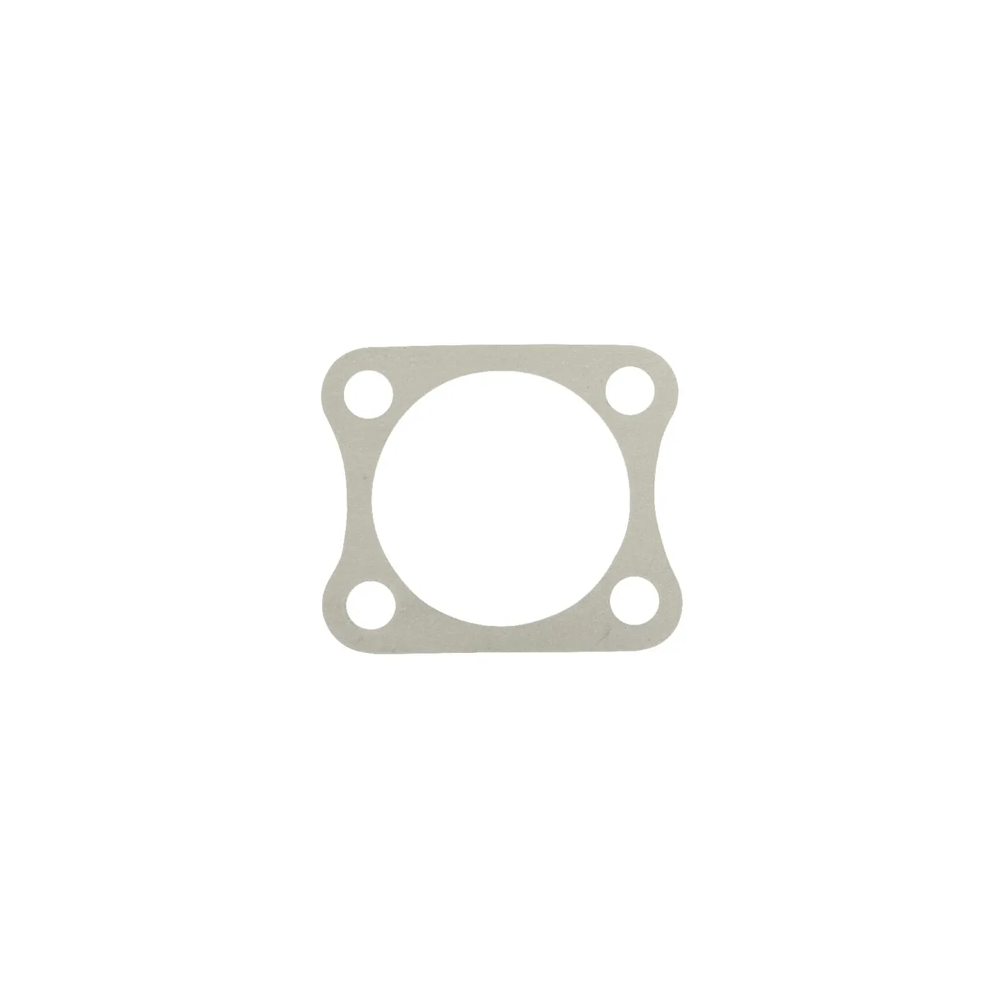 Flange seal Belarus  202201024N gopart 202201024