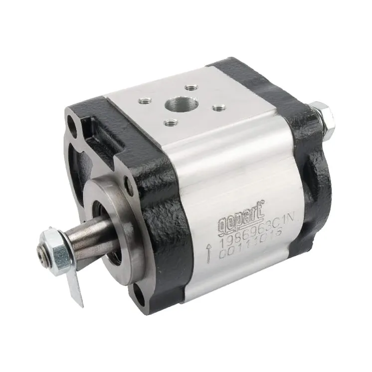 Hydraulic pump 8.2 ccm  1986963C1N gopart