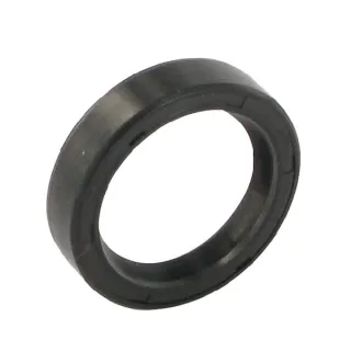 Oil seal  195501M1GP gopart