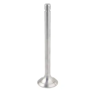 Exhaust valve  2401007015B4N gopart 2401007015B4
