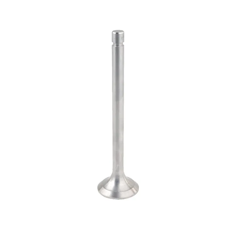 Exhaust valve  2401007015B4N gopart 2401007015B4