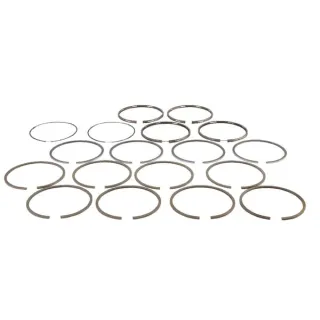 Piston ring set Belarus  2401004060AN gopart 2401004060A