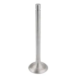 Intake valve  2401007014B4N gopart 2401007014B4