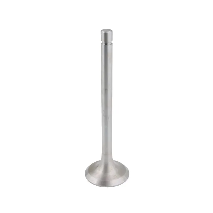 Intake valve  2401007014B4N gopart 2401007014B4