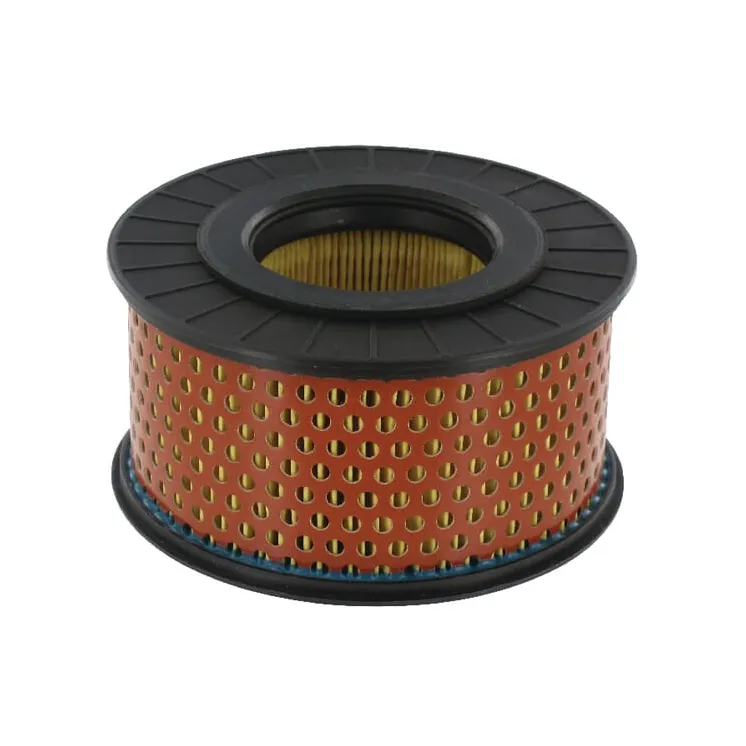 Gaisa filtrs 42211404400GP gopart 55248R FGP012284
