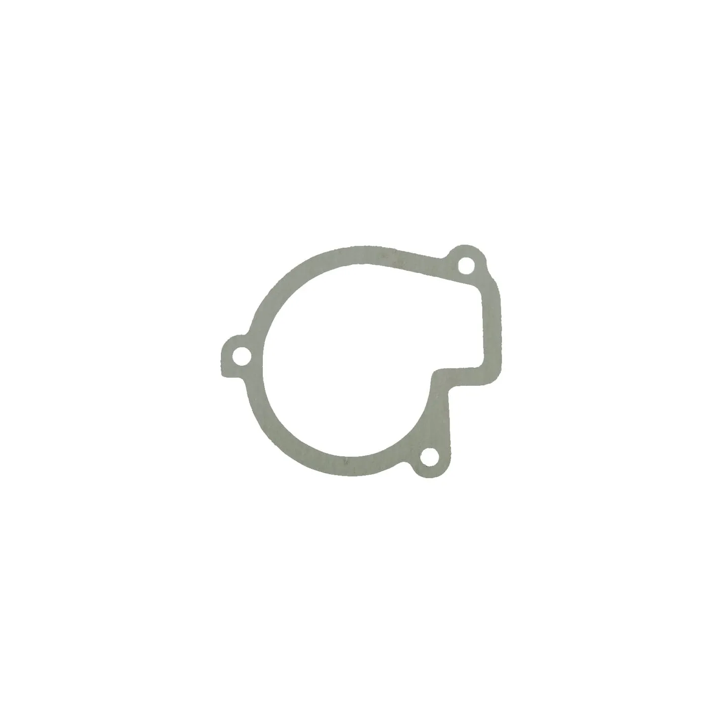 Seal Belarus  501307048BN gopart 501307048B