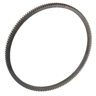 Flywheel rim  501005121N gopart 501005121