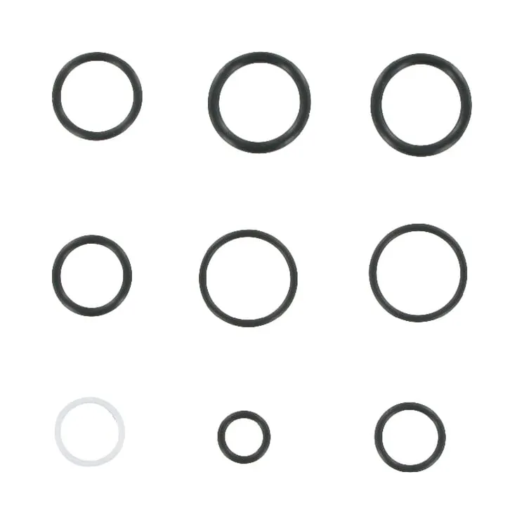 Seal set MBV 5  MBV95AFDGP gopart