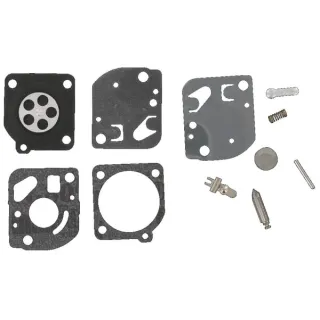 Zama carburettor repair kit  RB21GP gopart 49822R FGP012146
