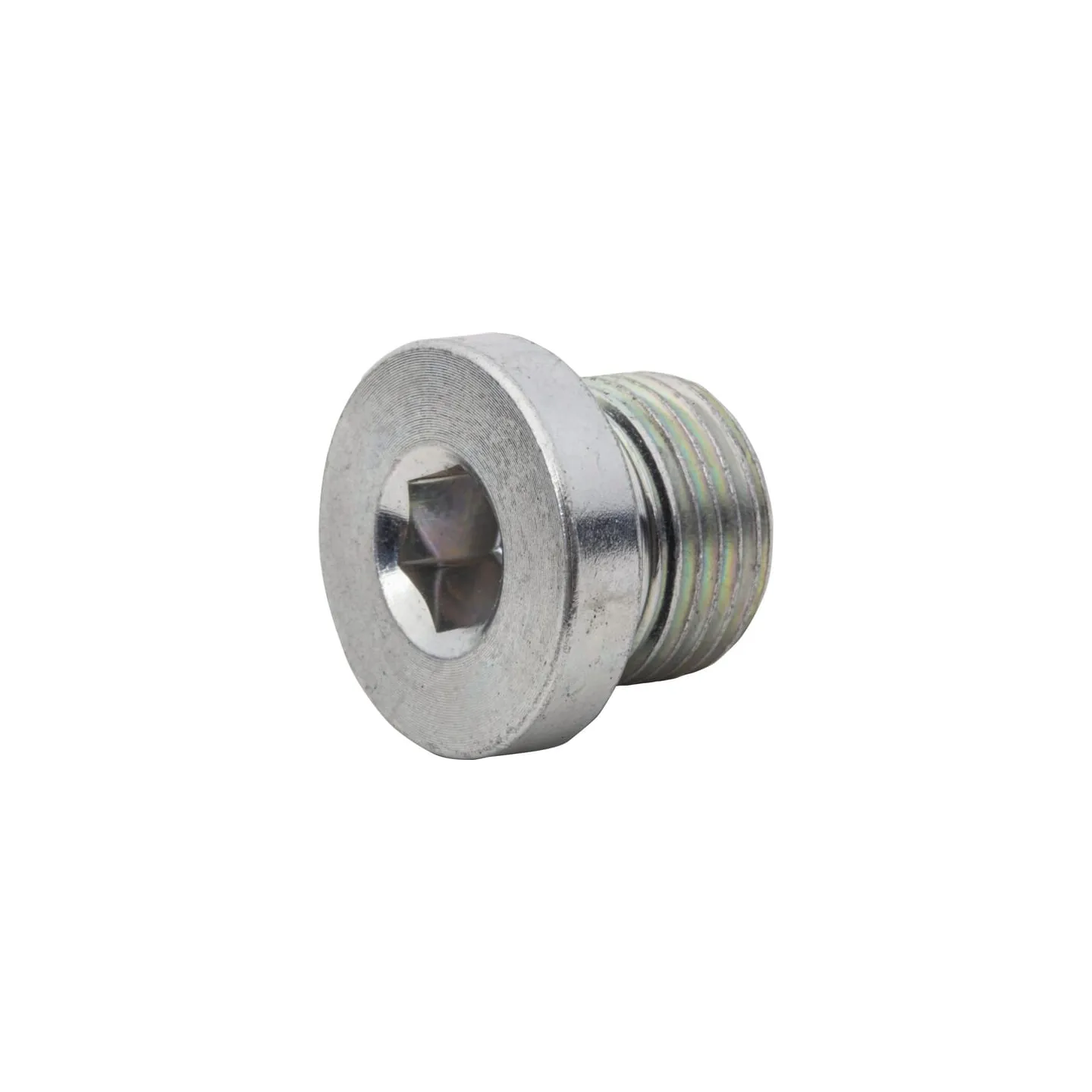 End Plug R1/4  VSR04WDGP gopart
