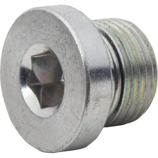 End Plug R3/8  VSR06WDGP gopart