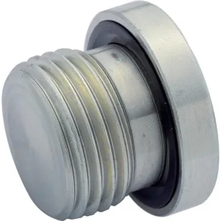 End Plug R1/2  VSR08WDGP gopart