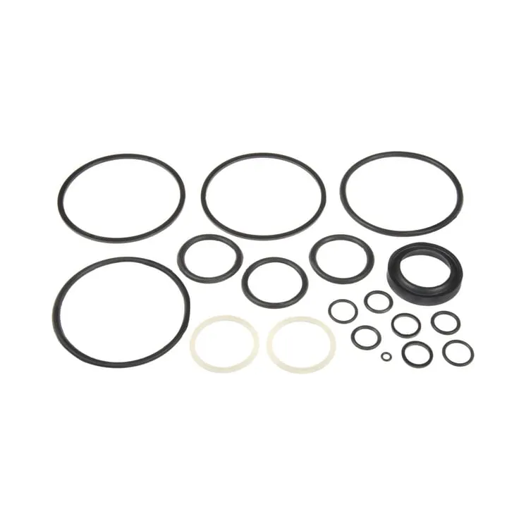 Seal kit Belarus  Z1001313N gopart Z1001313 Z80KH200037