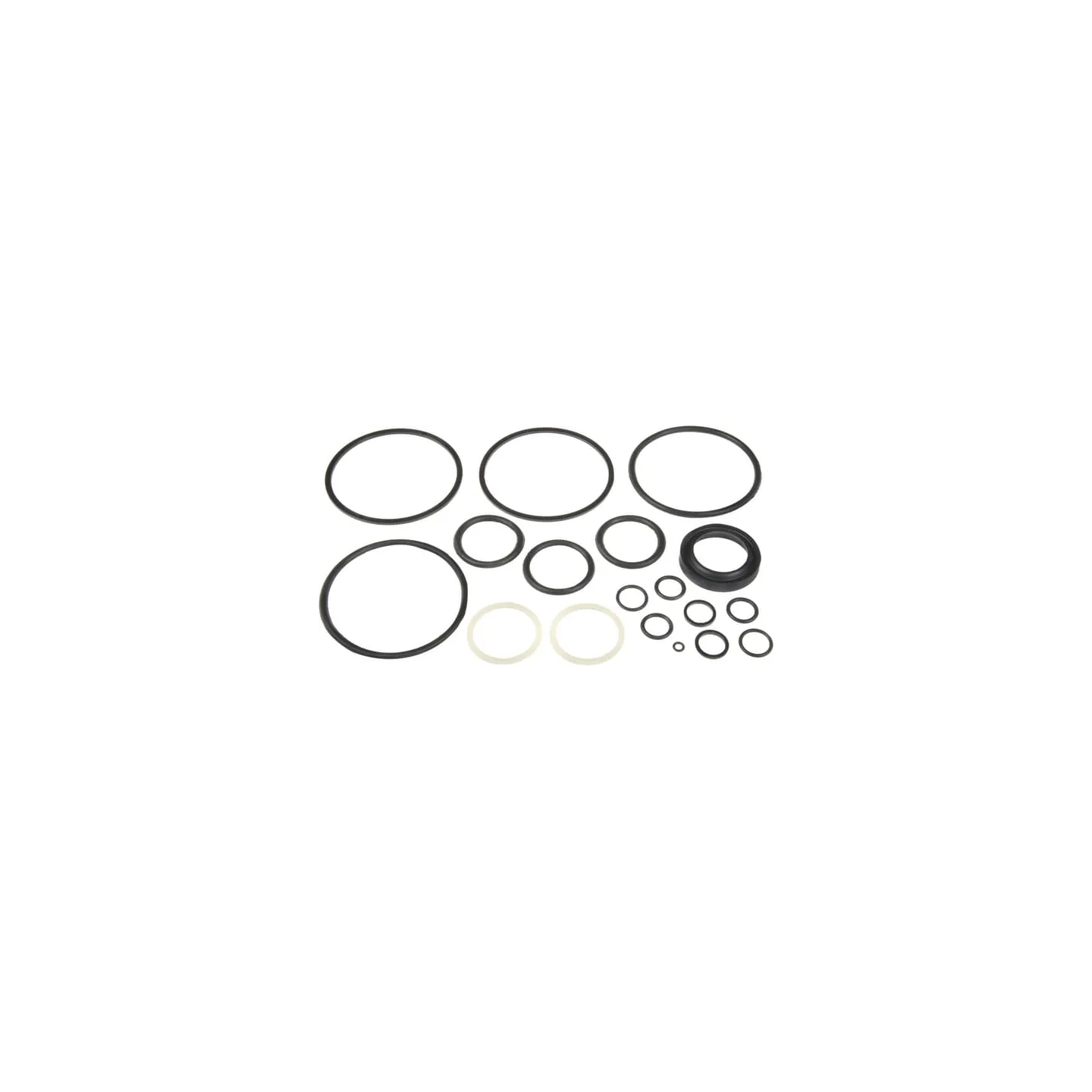Seal kit Belarus  Z1001313N gopart Z1001313 Z80KH200037