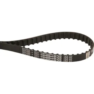 Timing belt ZR 60T - 5/16  120XL031 Optibelt