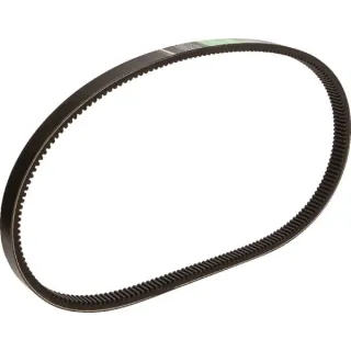 V-belt drive broad  1541569C1AB Optibelt