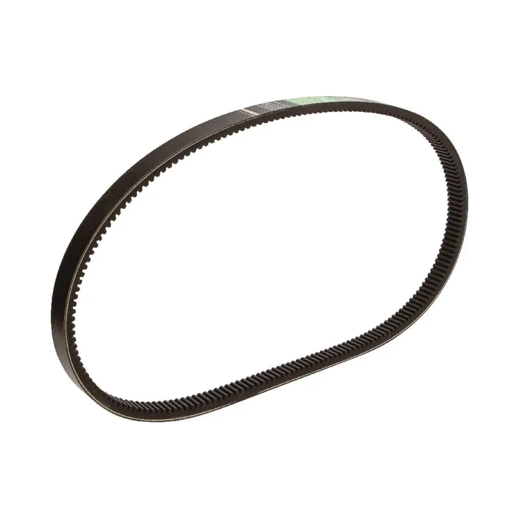 V-belt drive broad  1541569C1AB Optibelt