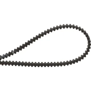 Timing belt 8M 250 teeth 2000x16mm   160DS8M2000 Optibelt