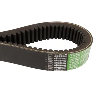 V-Belt drive broad  244420A4AB Optibelt 193923C3Z 244420A1AB 244420A1Z