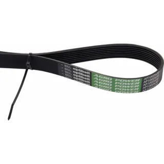 Ribbed belt  243372A1AB Optibelt