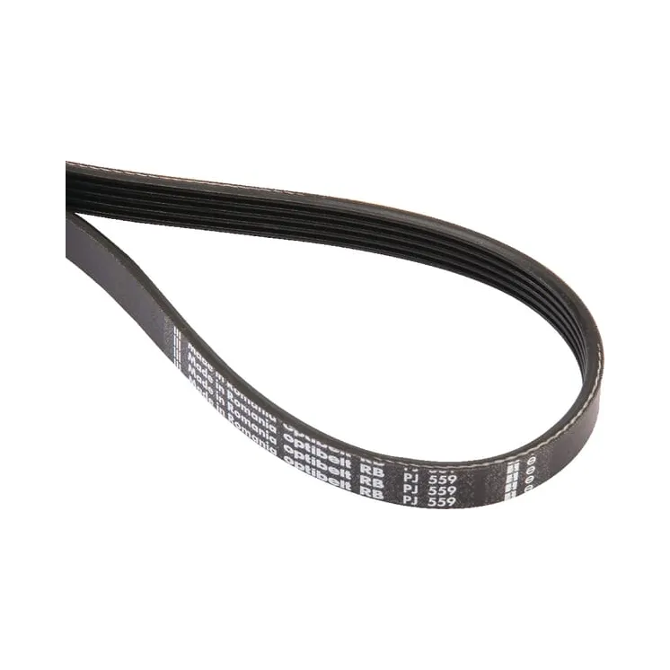 Ribbed belt 5 rib PJ 559mm   5PJ559 Optibelt