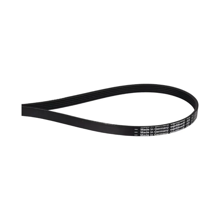 Ribbed belt 5 rib PJ 1168mm   5PJ1168 Optibelt