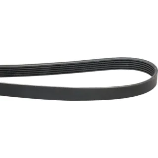 Ribbed belt 6 rib PK x1230mm   6PK1230 Optibelt