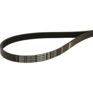 Ribbed belt 6 rib PJ 1016mm   6PJ1016 Optibelt