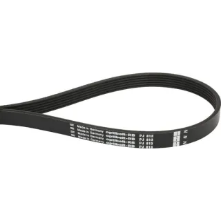 Rievota josta 6 rib PJ 813mm 6PJ813 Optibelt