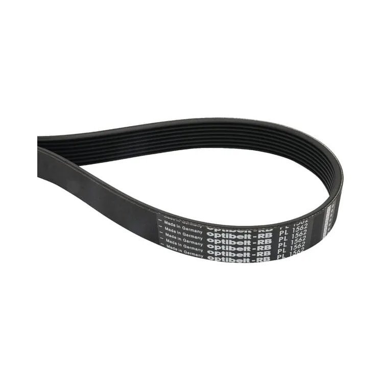 Ribbed belt 8PL1562   8PL1562 Optibelt