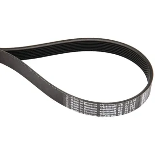 Ribbed belt 8 rib PJ 737mm  8PJ737 Optibelt