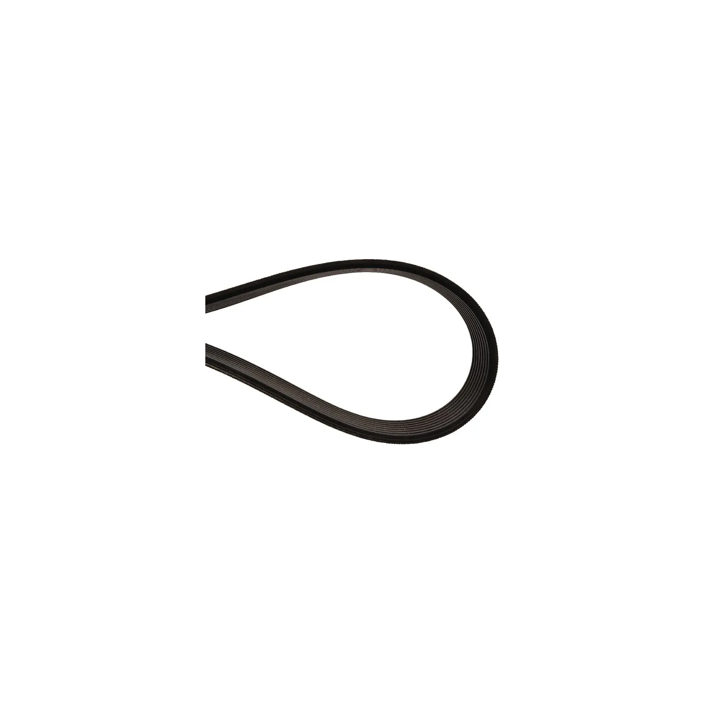 Ribbed belt  87402830AB Optibelt