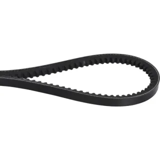 Fan belt 10x695  AVX10695 Optibelt