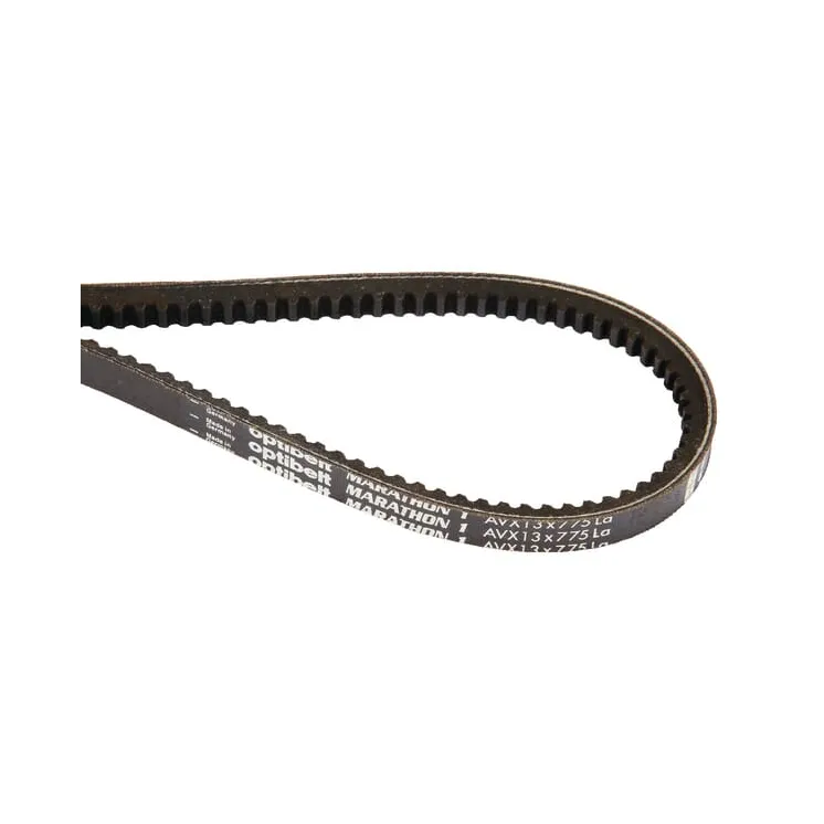 Fan belt 13x875  AVX13875 Optibelt