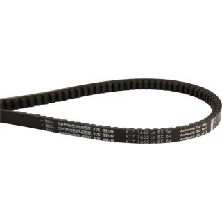 Ķīļsiksna BX171665 Optibelt