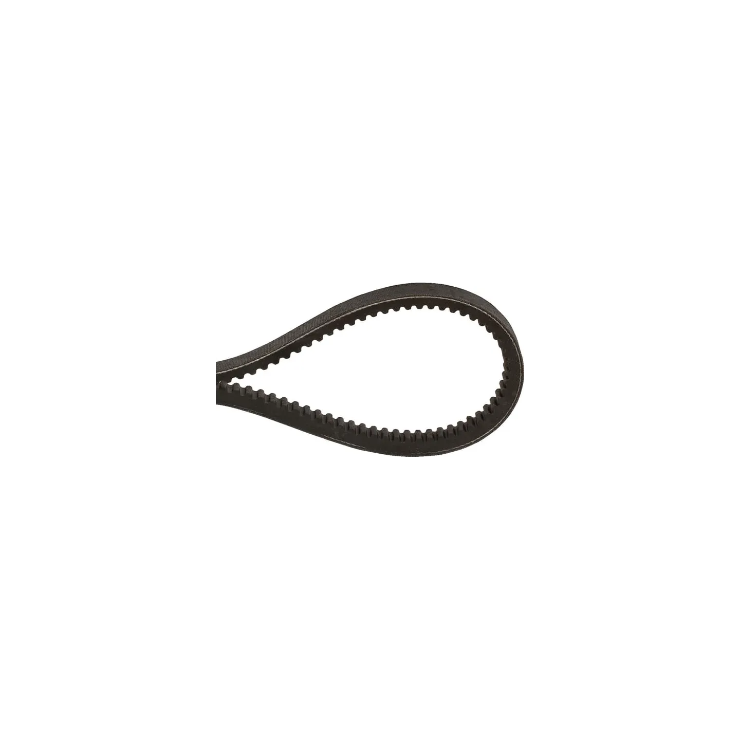 V-belt ZX24 10x622  ZX10622 Optibelt