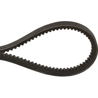 V-belt toothed ZX 10x597   ZX10597 Optibelt