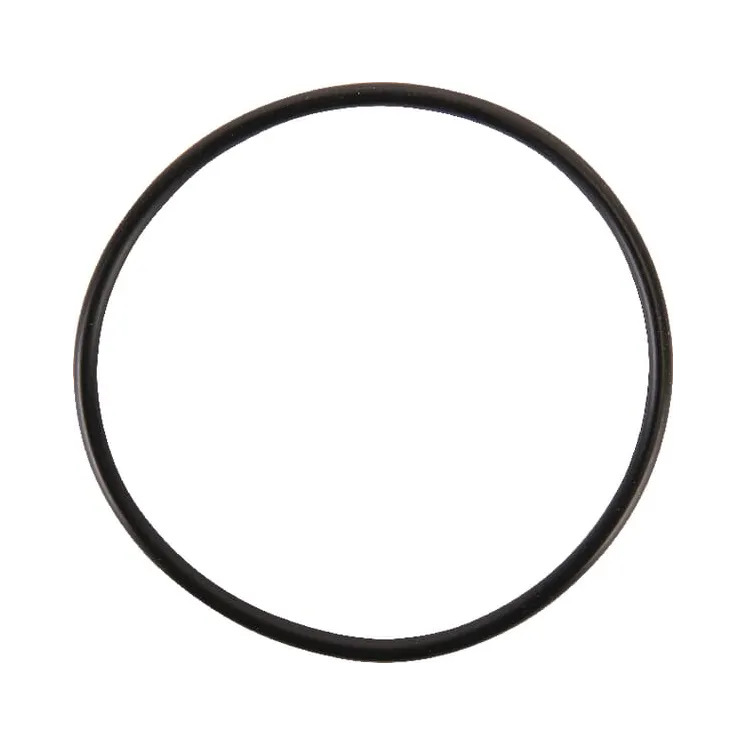 Water pump gasket  01180975KR AGRALV