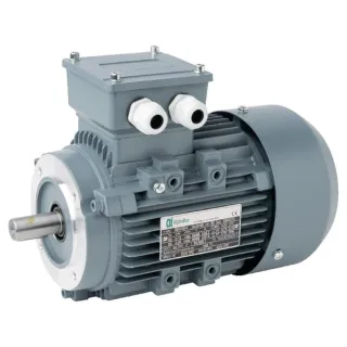 Electric motor 0,75 kW  015602 AGRALV 1619015501
